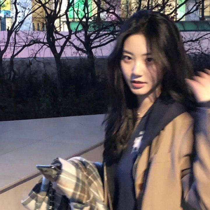 普罗旺斯惊魂记